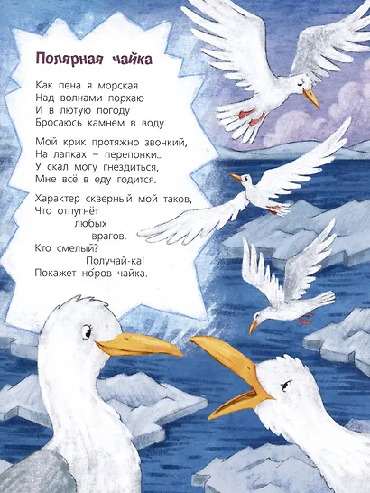 Посмотри, где мы живем! - фото 6