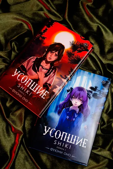 Усопшие. Книга 2 (Shiki). Ранобэ - фото 7