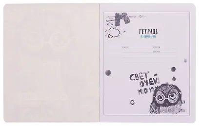 Тетради предметные Феникс+, "Граффити", 48 листов, 10 штук - фото 11