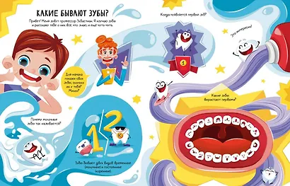 Всё о зубах. Открывай и изучай! - фото 15
