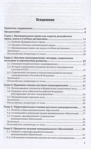 Муниципальное право. Учебник и практикум для бакалавриата и специалитета - фото 2