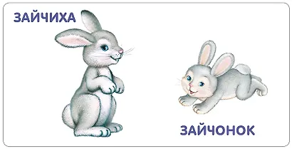 Книжки-картонки. Животные и детеныши - фото 4