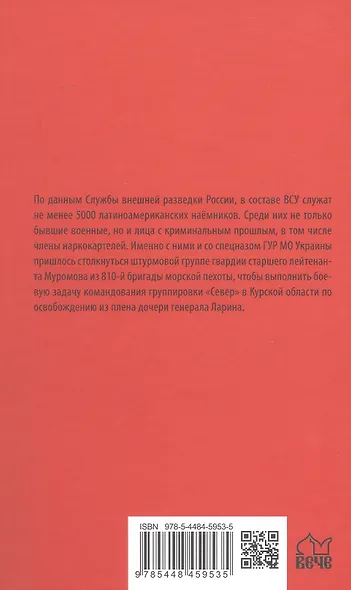Штурмовик - фото 2