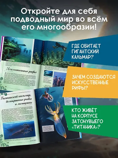 Большая книга о подводном мире. 1001 фотография - фото 4