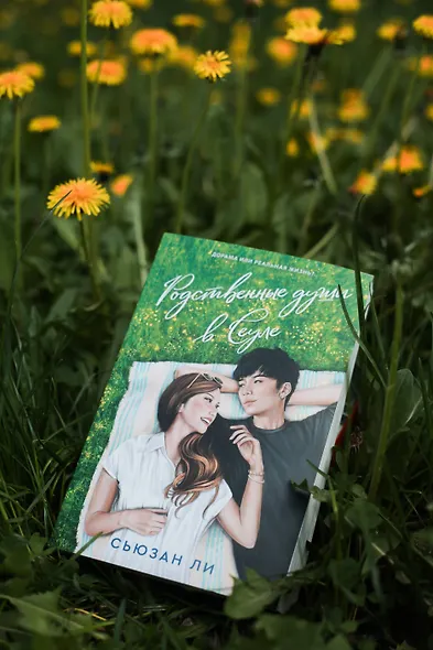 Родственные души в Сеуле - фото 6