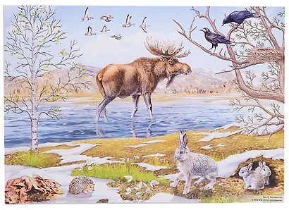 Демонстрационные картины АЗ. Времена года. Методич. мат-л к ООП ДОО (8 картин+этикет. с текстом) - фото 2