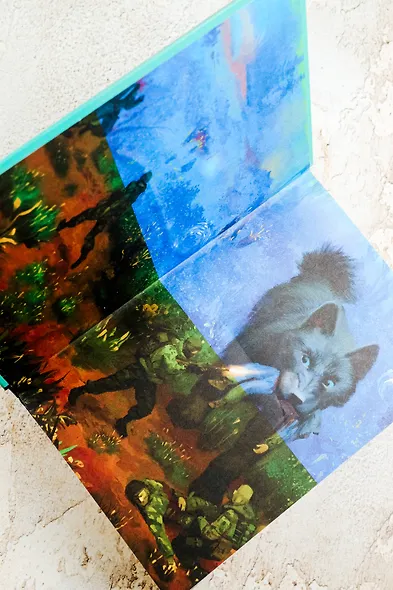 Ареал 1-4 (уникальное лимитированное издание) - фото 10