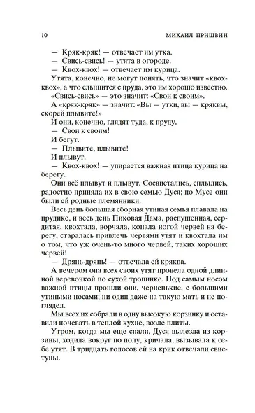 Кладовая солнца - фото 13