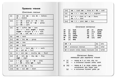 Тетрадь для записи английских слов Айрис, "Капибары на самокате", А5, 24 листа - фото 3