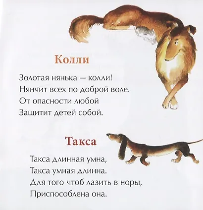 День рождения собаки - фото 3