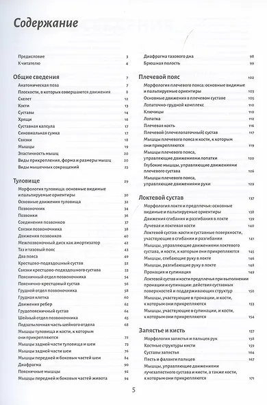 Анатомия движения: человеческое тело - фото 2