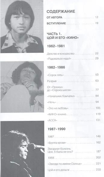 Цой. Последний герой современного мира - фото 2