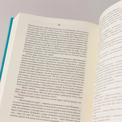 Идиот - фото 2