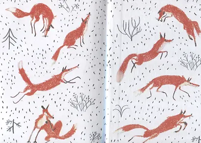 Хвост Авроры - фото 5