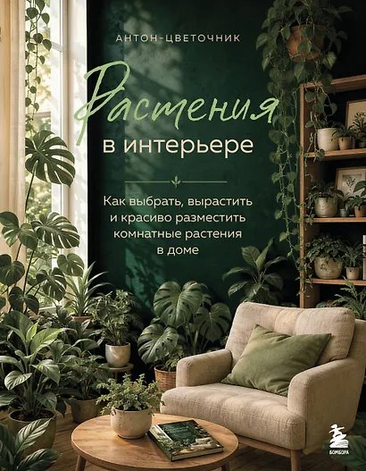 Растения в интерьере. Как выбрать, вырастить и красиво разместить комнатные в доме - фото 1