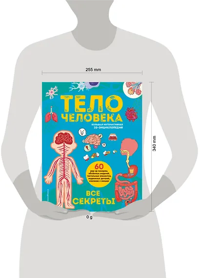 Тело человека. Все секреты. Большая интерактивная 3D-энциклопедия - фото 4