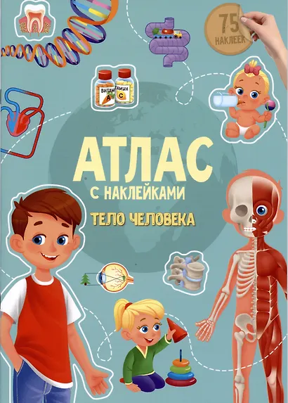 Тело человека. 75 наклеек - фото 4
