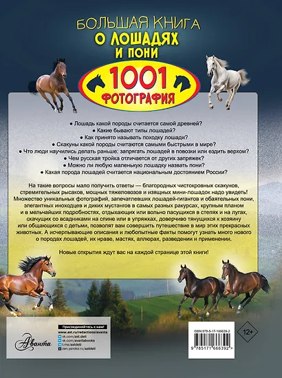 Большая книга о лошадях и пони. 1001 фотография - фото 2