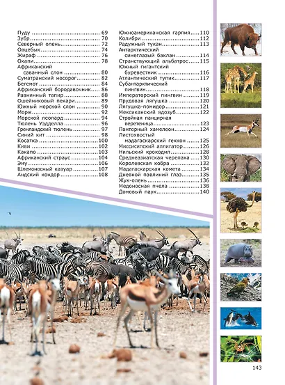 Животные - фото 4