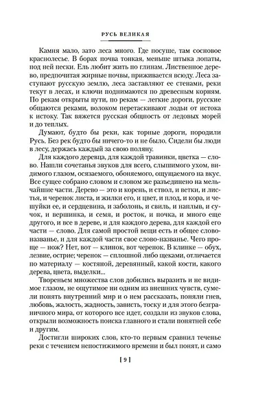 Русь Великая - фото 11