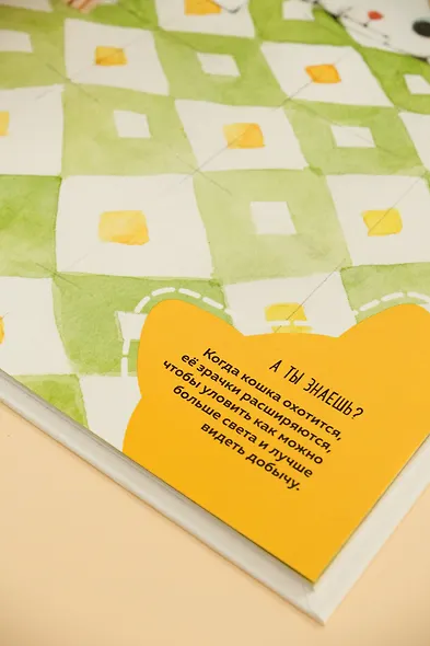 Невероятные коты. Всё, что нужно знать о любимых питомцах - фото 11