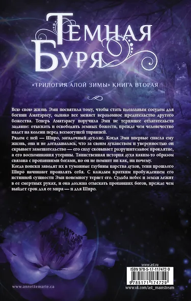 Темная буря - фото 2