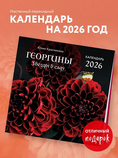Георгины. Звезды в саду. Календарь настенный на 2026 год (300х300 мм) - фото 3