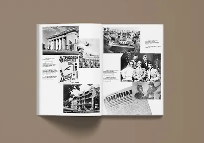Поэзия в мертвой петле. Мандельштам и авиация - фото 15