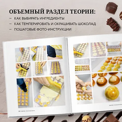 Шоколад. Практическое пособие. Подробная теория, технология и пошаговые уроки для впечатляющего шоколадного декора - фото 5