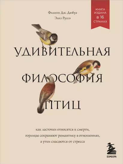 Удивительная философия птиц. Как ласточки относятся к смерти, горлицы сохраняют романтику в отношениях, а утки спасаются от стресса - фото 1