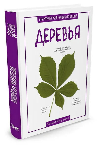 Деревья - фото 2