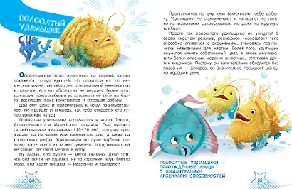 Животные-супергерои - фото 11