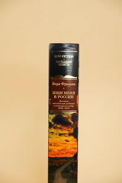 Ищи меня в России. Дневник «восточной рабыни» в немецком плену. 1942–1943 - фото 9