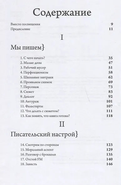 Птица за птицей. Заметки о писательстве и жизни в целом (новая обложка) - фото 3
