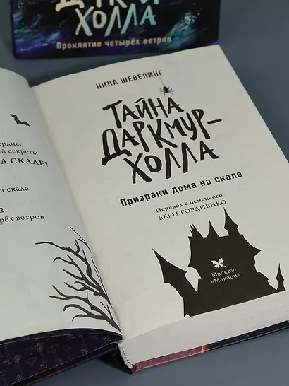 Тайна Даркмур-Холла. Призраки дома на скале - фото 10