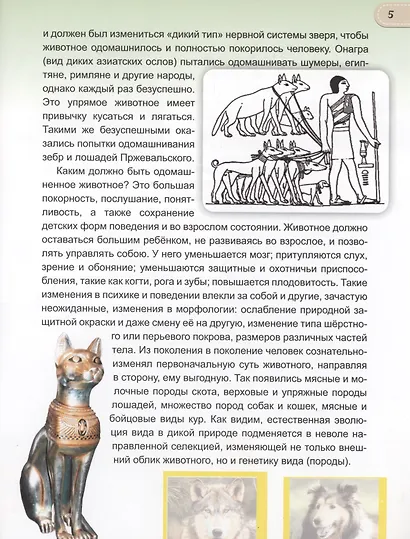 Животные от диких к домашним - фото 5