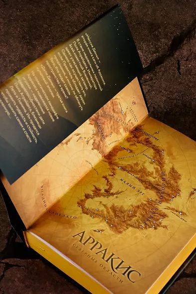 Мессия Дюны. Дети Дюны - фото 11