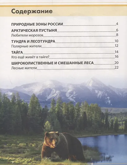 Животные России. Детская энциклопедия - фото 2