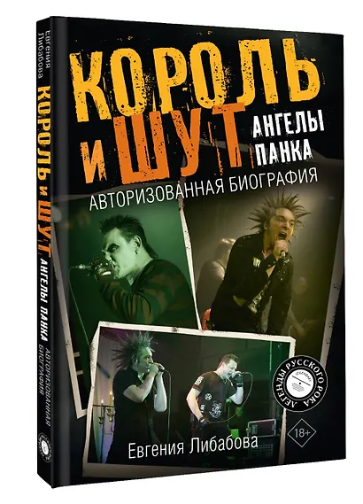 Король и Шут. Ангелы панка. Авторизованная биография - фото 3
