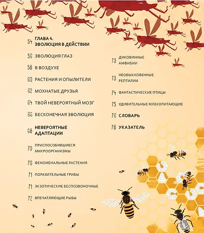 Чудеса эволюции. Путешествие во времени - фото 3