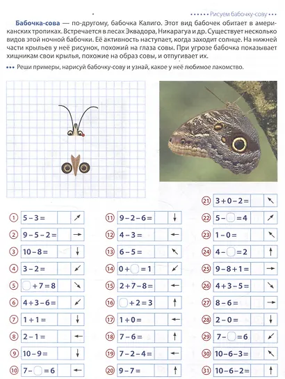 Шагаем по клеточкам. Насекомые. Графические диктанты детям 6-7 лет - фото 5