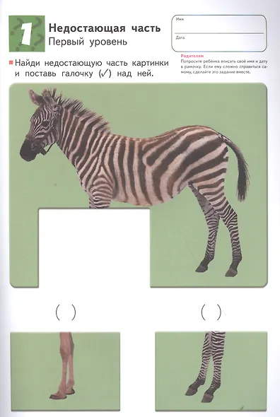 Развитие мышления. Пространственное мышление (от 5 лет) - фото 5