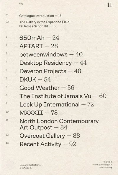 Галерея в расширенном поле / The Gallery in the Expanded Field - фото 4