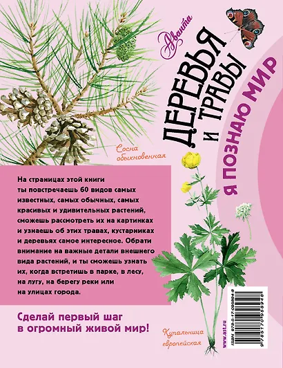 Деревья и травы - фото 2