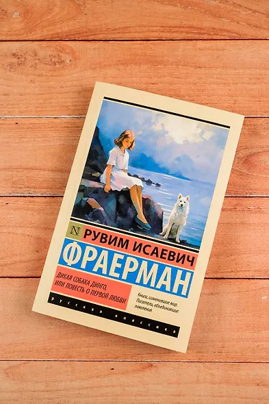 Дикая собака динго, или Повесть о первой любви - фото 5