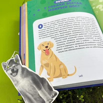 Вместе лучше! Командная работа в мире животных - фото 5