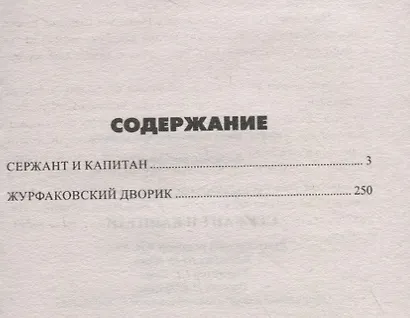 Сержант и капитан - фото 2
