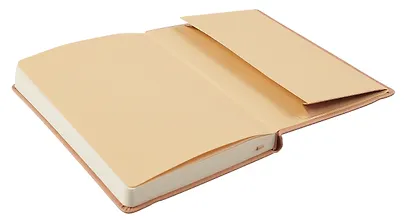 Ежедневник дат. 2025г. А5 176л "Joy Book" крем-брюле, 7Б, тв.переплет, иск.кожа, резинка, карман, скругл.углы, тонир.блок, ляссе, инд.уп - фото 7