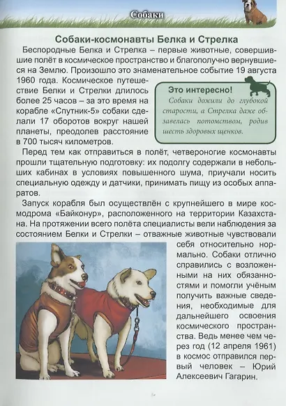 Знаменитые животные. Энциклопедия - фото 7