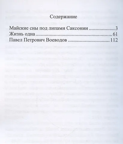 За Родину! За Сталина! - фото 3